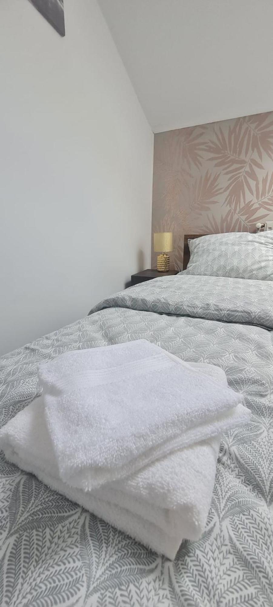 Cosy 2 Bedroom Apartment In New Town 布拉索夫 外观 照片